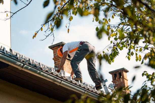 Best Metal Roofing Contractor  in Mccamey, TX