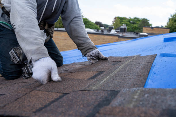 Best New Roof Installation  in Mccamey, TX