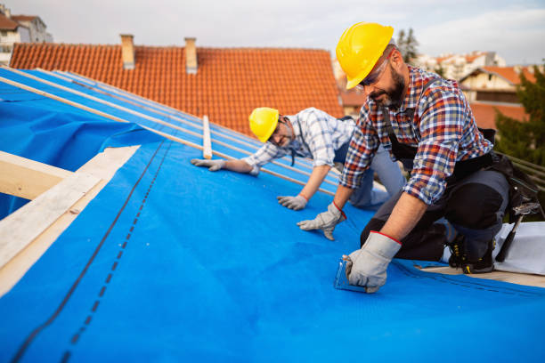 Best Storm Damage Roof Repair  in Mccamey, TX